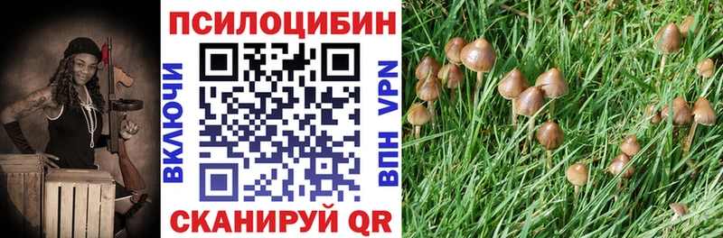 Псилоцибиновые грибы MAGIC MUSHROOMS  купить   Остров 